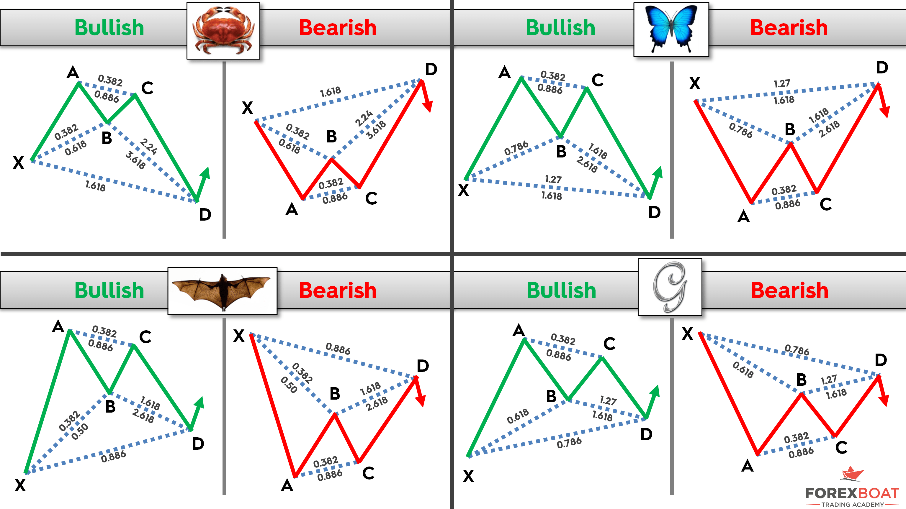 Introduction To Harmonic Price Patterns Investingchef